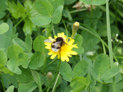 AI駆動開発とは?次世代ソフトウェア開発の新潮流